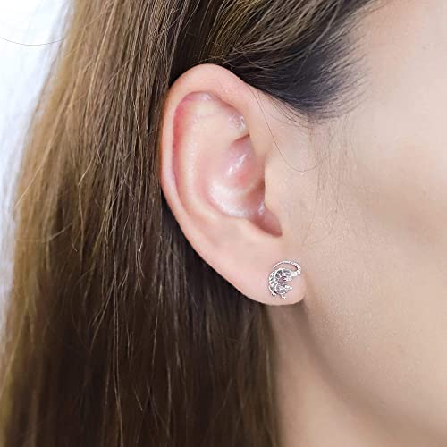 Boma Jewelry Sterling Silver Iguana Lizard Stud Earrings2