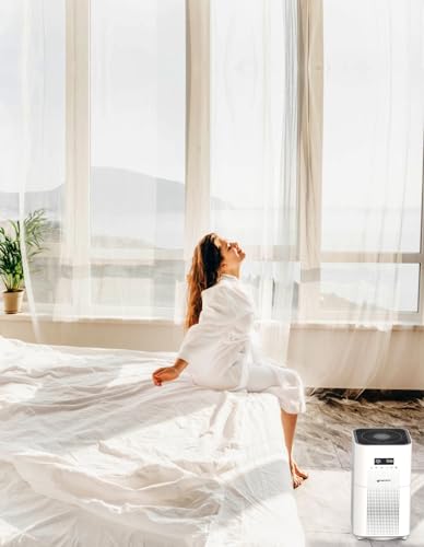 Dayette AP401 AIR PURIFIER Purifiers For Home Large Room Up To 3000 Sq Ft thumb #1