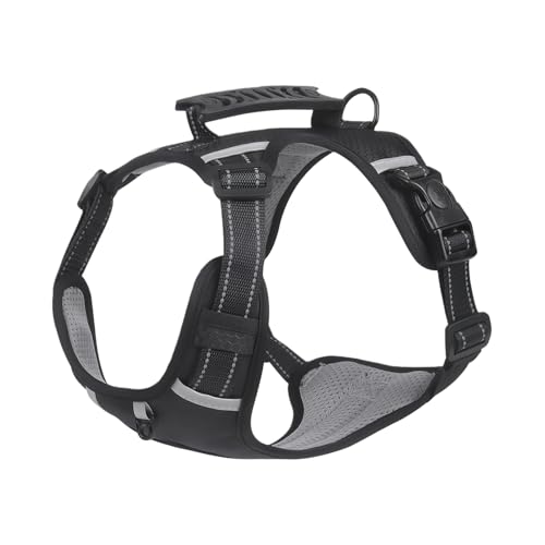 ^pn[lX - h~ ˃Xgbv n[lX - \  hbO[v - ] nCLO g[jO Lv s O[~Op