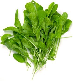 Microgreens Arugula Rocket Cultivated 50 seeds pack by Vani Impex (B071FH8FRP) Amazon Price History, Amazon Price Tracker