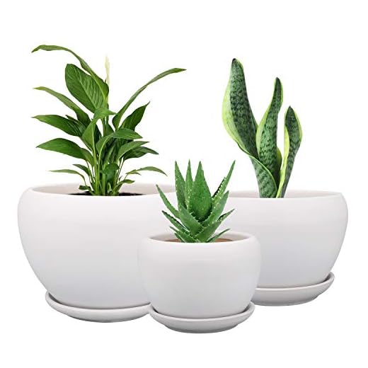 Brajttt Ceramic Flower Pots,3 Pack White Round Ceramic Planters for Succulent Herbs Cactus, S/M/L Sized Flowerpots with Saucers for Indoor & Outdoor