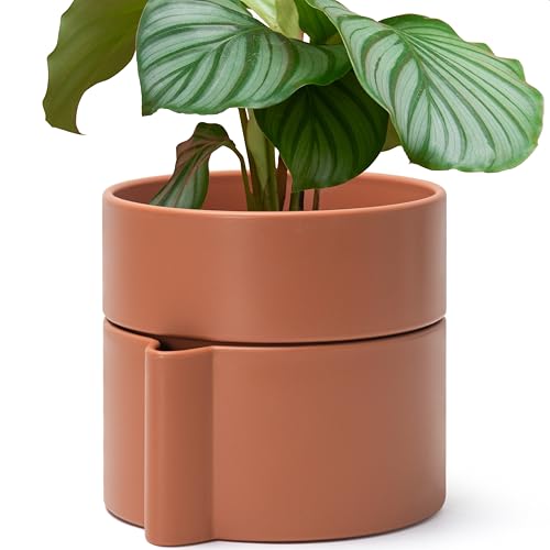 8 Inch Self-Watering Planter Pot with Terracotta Insert, Deep Water Reservoir, and Ceramic-Alike BPA-Free Plastic Planter Pot for Plant, Modern Planter for Houseplants, Terracotta, 53-A-T-3