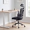 Nouhaus Ergo Fit Ergonomic Mesh Office Chair, High Back Office Chairs Adjustable Lumbar Support, Headrest & Flip-up Armrests, Tile Function, Comfy Desk Chairs Swivel Computer Gaming Chair, Black