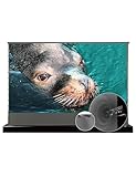 Vivid Storm Since 2004-Sound Transparent Perforated,Long Focus Ambient Light Rejecting Screen,Motorized Projection Screen,Compatible with Lumen up to 2500ANSI of Normally Projector,VSDSTPALR120H