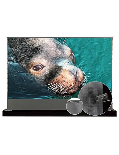 VIVIDSTORM 110" ALR Floor Screen