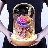 YKFN プリザーブドフラワー プレゼント バラ 人気 誕生日 プレゼント 永遠の花 結婚記念日 妻へ ギフト ガラスポット ケース入り ぶりざーどフラワー 薔薇 フラワー ドライフラワー アレンジ 枯れない花 ラッピング済み 女性 花 お祝い 退職祝い 母の日 お祝い 新年 入学 卒業 贈り物 虹色
