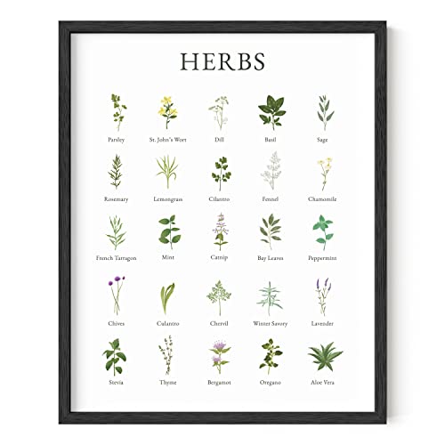 HAUS AND HUES Herb Collage Botanical Prints Kitchen Wall Art