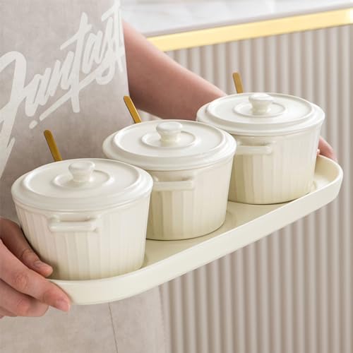 Zestaw ceramicznych słoików na przyprawy, ceramiczne pojemniki na przyprawy, pojemniki na przyprawy, ceramiczne słoiki na przyprawy do kuchni, pojemniki na żywność co