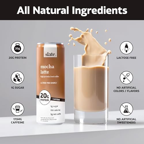 Slate Mocha Latte Single Can
