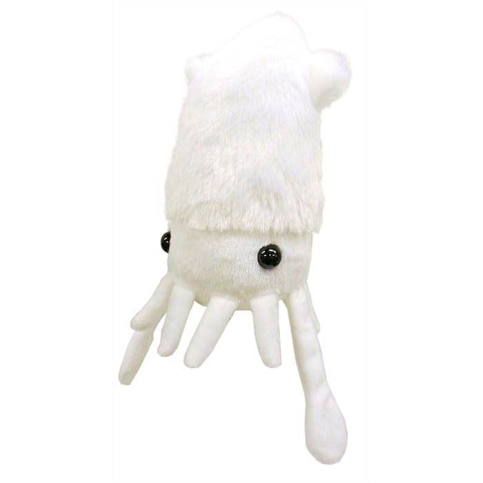 Amazon.co.jp: B5881036 AFぬいぐるみ イカ : おもちゃ