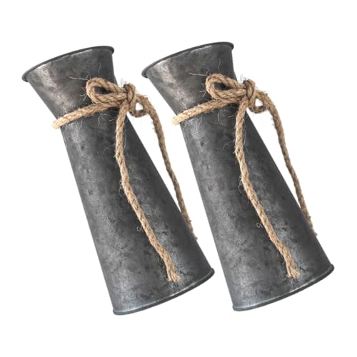 Alipis 2pcs Antique Bronze Metal Pitcher Vase Rustic Galvanized Decorative