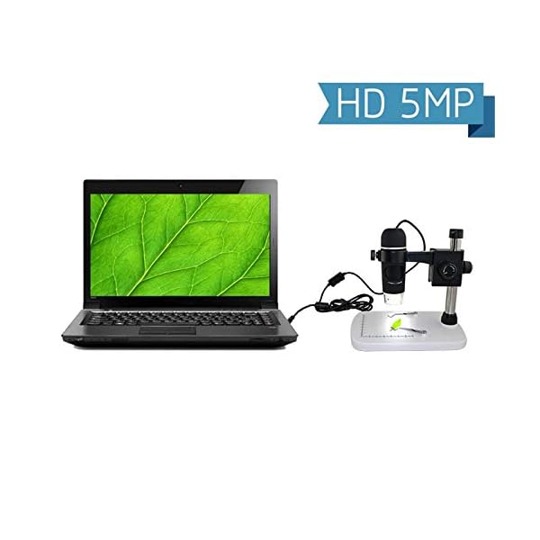 Digitales Mikroskop, 5 MP, USB-Mikroskop, 8 LED-Leuchten, Handmikroskop, 1080P Mikroskop-Kamera mit professionellem… – Bild 3