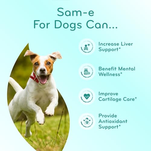 Image of Liver Support for Dogs with SAM-e - Chewable SAM-e for Dogs Bone Mood Brain and Liver Support Supplement with Easy Absorption 225mg S-Adenosyl-L-Methionine - Made in a cGMP US Lab (Single)