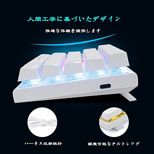 e元素 e元素ゲーミングキーボード63キー 赤軸 Z-11SM63 の商品画像 5