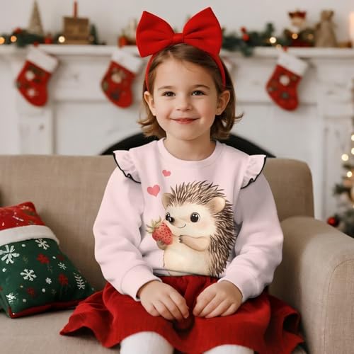 DISNIMO Girls Sweatshirt Kids Toddler Crewneck Sweatshirts Long Sleeve Shirts Fall Clothes Outfit Ruffle Pullover2