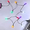 Cable de carga USB para teléfono con luces LED de Navidad, regalo, para iPhone 13, 12, 11 Pro, XS, XS Max, XR, X, 8 Plus, 8, 7 Plus, 7S Plus, 6S, 6, con 10 luces, adorno navideño (negro)