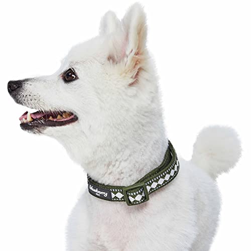 Collier chien anti irritation rembourré néoprène réfléchissant olive