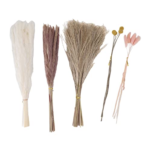 Buquê de Flores Secas, Grama de Pampas de Longa Duração Com Tecnologia Fina 70 Unidades para Quarto