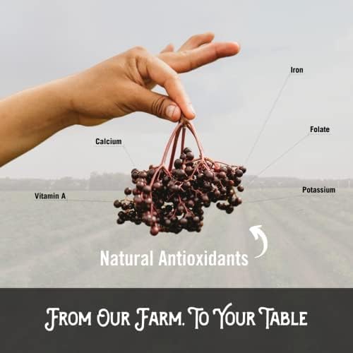 Miniatura 8 de Norm's Farms Paquete de 2 paquetes de extracto de saúco y jarabe de bienestar, jarabe de saúco de apoyo inmunológico para niños y adultos, fabricado