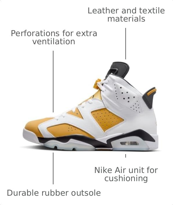 Image of Nike Air Jordan 6 Retro Leather Mens Shoes