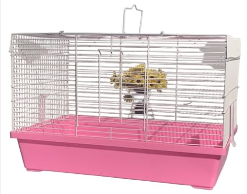 Sailozai グꂽV[VAnX^[P[WA``AXAȃybg̕ʑAƒpAʋCAeiXȒP (sN,+ݏ{a)