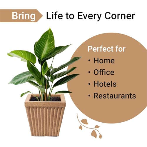 Image of Kuber Industries Pack of 6 Roto Mould German Polymer 14-Inch Big Size Flower Pot | Indoor /Outdoor Tree Gamla Planter for Living Room, Resorts, Hotels, Terrace & Garden | Marble Pihu Splash - Sand