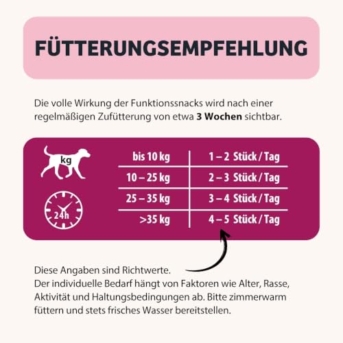 BugBell 60g Knabbersticks Rote Bete – vegane Hundesnacks fettarm