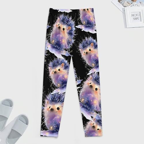 Watercolor Glowing Hedgehog Men's Pajama Bottoms Sleep Lounge Soft Comfy Pants Sleepwear4
