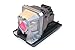 P PREMIUM POWER PRODUCTS Projector Lamp Replaces NEC NP13LP for NEC NP-V230+, NP-V230X+, NP-V260+, NP-V260X+, NP110, NP110G, NP115, NP115G, NP210, NP210G, NP215, NP215G, NP216, V230, V230X