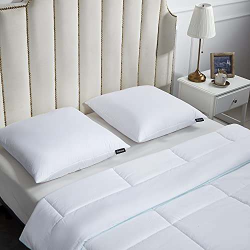 Beautyrest White Euro Pillow 100% Cotton Set of 2 Throw Pillow Inserts, 26''x26'' by Beautyrest - Image 4