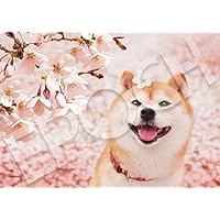 動物　ねこ　犬　パズル　108ピース Amazon | エポック社 108ピース ジグソーパズル いきもの/ペット