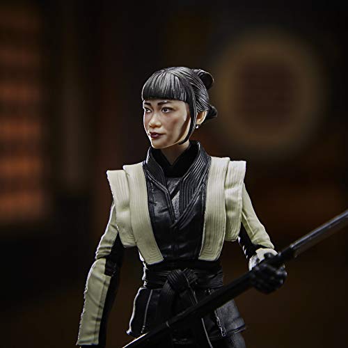 Hasbro Collectibles - G.I. Joe Classified Series Figure Akiko