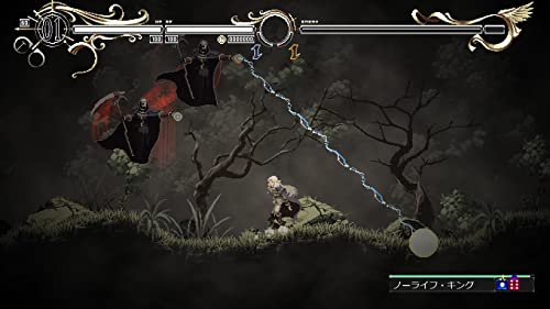 Record of Lodoss War Deedlit in Wonder Labyrinth (Nintendo Switch)