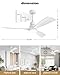 Imagen de Ventilador de Techo con Luz y Mando a Distancia