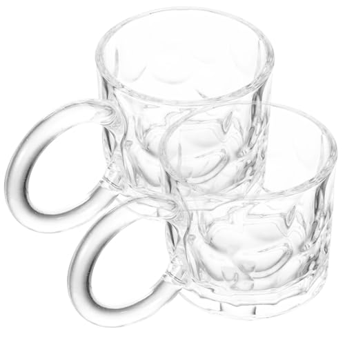 Alipis 2pcs Embossed Glass Tumbler Cups Coffee Latte Cup Reusable Portable Glass