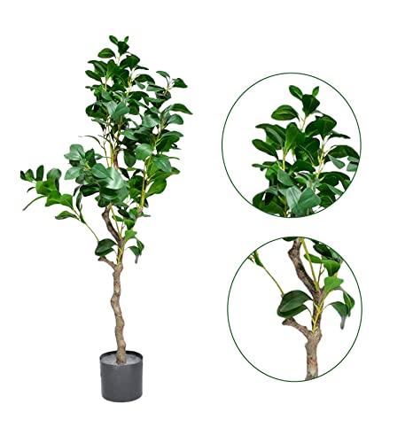 Image of Kayra Decor 4 Feet Magnolia Tree -Artificial Plants with Pot for Home Decor Big Size