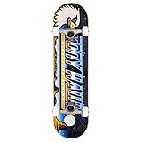 skate tony hawk gif Skateboard Unisex Adulto Tony Hawk SS 180 Complete Moonscape Skateboard , Unisex Adulto, Multi, 8\"