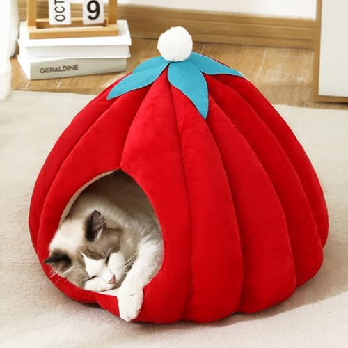 [Cm] ybgnEX M J{`^ h[^ 􂦂 bh H~ lGKp 킢 ONbV ӂӂ _炩 ې  ^ LnEX nEX LbgnEX hbOnEX Lxbh ybgxbh