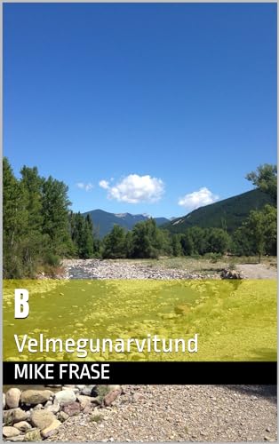 B: Velmegunarvitund (Icelandic Edition)