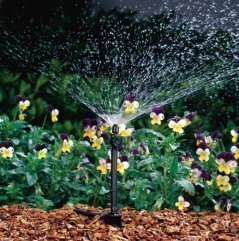RAIN BIRD JET SPIKE Micro-Pulvérisateur avec débit réglable sur le pied de sol 180° - Arrosage de jardin professionnel