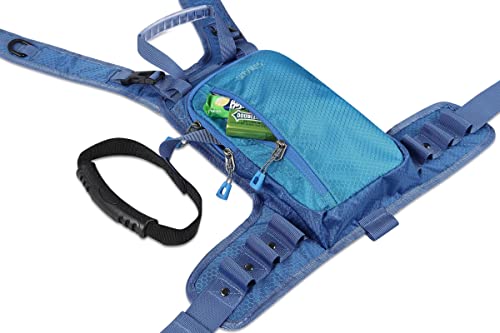image for skiguard Ski Harness Trainer for Kids: Helping Toddler Learn to Ski wi
