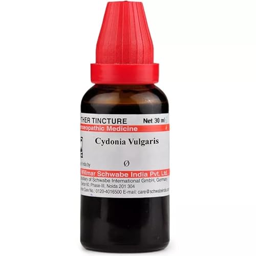 Willmar Schwabe India Homeopathic Cydonia Vulgaris Mother Tincture 1X (Q) (30ml) - by Wellnesspath