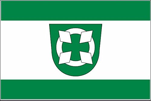 Stadtfahne Delmenhorst | 90 X 150 Cm Aus 100% Polyester | Wetterfest Mit Metallösen & Doppelsaum | Für Fahnenmast & Balkon