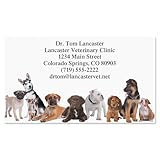 Bow Wow Animals Custom Printed Business Cards - Set of 250-2 x 3-½ inches, Veterinarian, Pet, Vet, Dog, Personalized Clinic Cards by Colorful Images