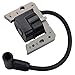 Wellsking LV195EA ignition Coil Module for Toro Recycler 22 6.5HP 5HP 6HP Tecumseh 34443B 3443C 34443D 1a138-42-12 1a138-52-12 LV195XA LEV120 OHH50 OHH55 OHH60 H60