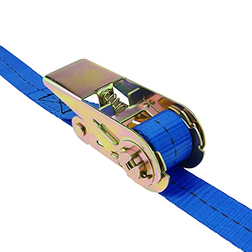 PrimeMatik - Confezione di 4 Cinghie di Fissaggio