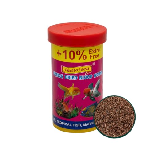 Image of Hallofeed Freeze Dried Blood Worms Fish Food - 22 Grams | Natural High-Protein Aquarium Feed | Enhances Color & Growth for Bettas, Cichlids, Goldfish & Tropical Fish