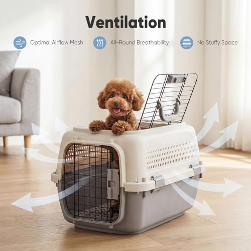DUMOS 23" Hard-Sided Pet Carrier for Small Pets, 2 Door Cat Carrier, Beige | Airline Approved Dog Crate, Enhanced Security Latches, Front & Top Load Wire Door, Food Bowl for Traveling, Hiking, Camping - Image 3