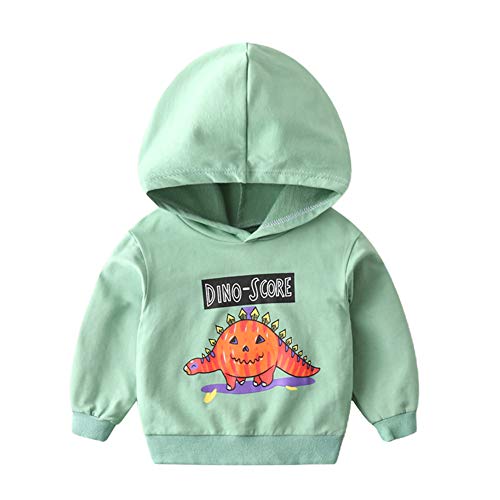 HZYBABY Toddler Baby Boys Autumn Long Sleeve Dinosaur Sweater Cotton Cartoon Pullover Sweatshirt Green
