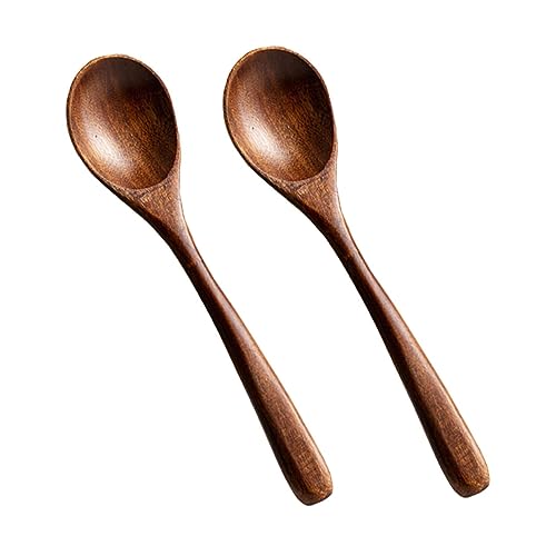 DECHOUS 2pcs Spoons Portable Rice Scoops and Dessert Spoons for Boys and Girls Smooth Easy to Clean for Daily Use Festivals and Parties
